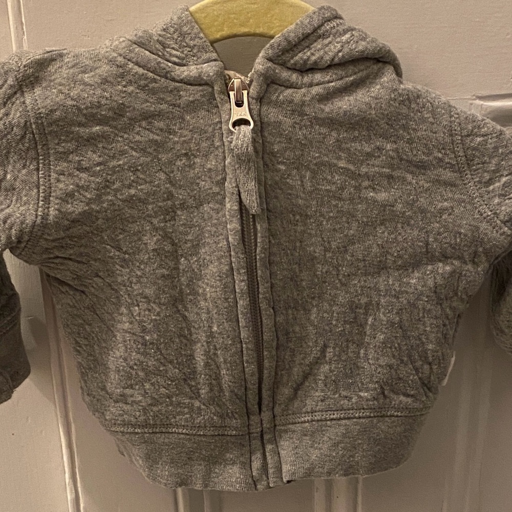 Burt's Bees Baby Heather Gray Kids Hoodie